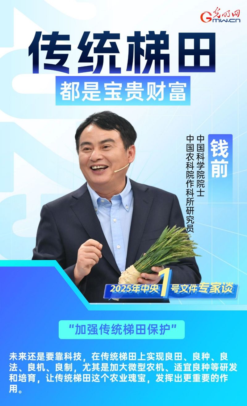 2025年中央一号文件专家谈丨聚焦农业新质生产力，探寻乡村振兴新路径