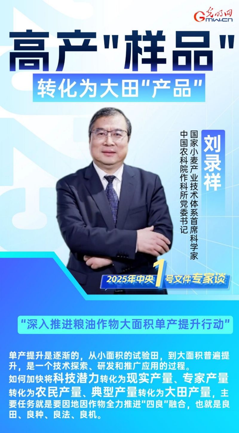 2025年中央一号文件专家谈丨聚焦农业新质生产力，探寻乡村振兴新路径