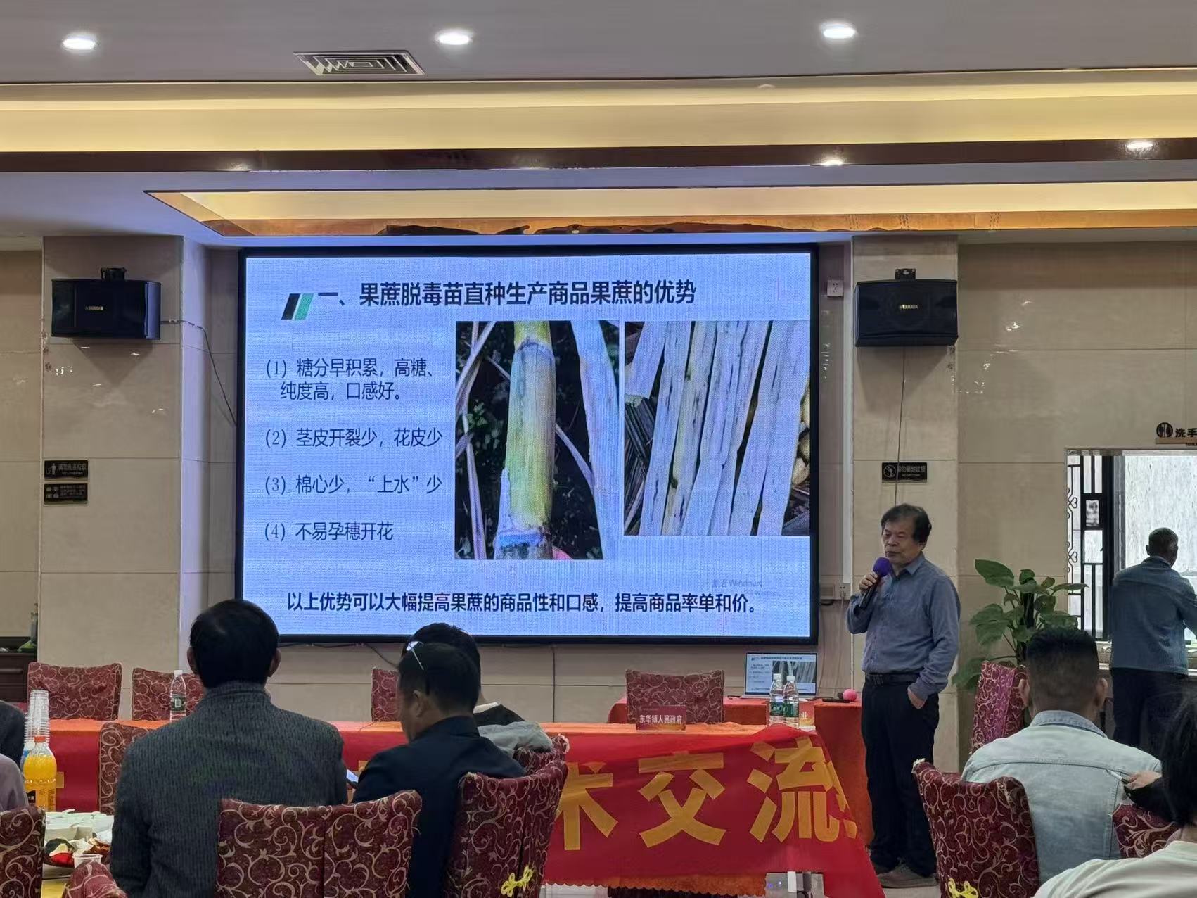 推广果蔗脱毒种苗技术，助力产业振兴与乡村发展